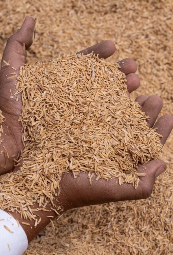 Cascarilla de Arroz para nutrir suelos del Vivero Harmony ubicado en todo el valle del cauca, buga y cali y todo colombia, distribuidores de plantas Cascarilla de Arroz para nutrir suelos del Vivero Harmony ubicado en todo el valle del cauca, buga y cali y todo colombia, distribuidores de plantas
