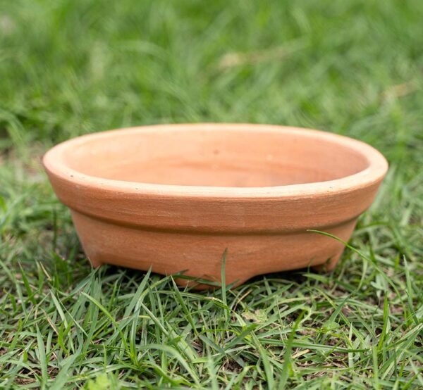 Matera de Barro Bonsai con Pies del Vivero Harmony ubicado en todo el valle del cauca y todo colombia, distribuidores de plantas e insumos para jardines Matera de Barro Bonsai con Pies del Vivero Harmony ubicado en todo el valle del cauca y todo colombia, distribuidores de plantas e insumos para jardines