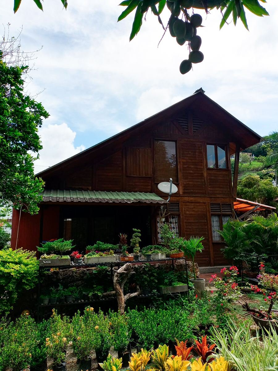 vivero en buga vivero harmony venta de plantas y diseno de jardines y paisajismo