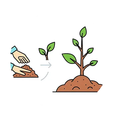 Nuestros Servicios de Plantación y Traslado Arbóreo en cali, palmira, tulua y buga, valle del cauca 