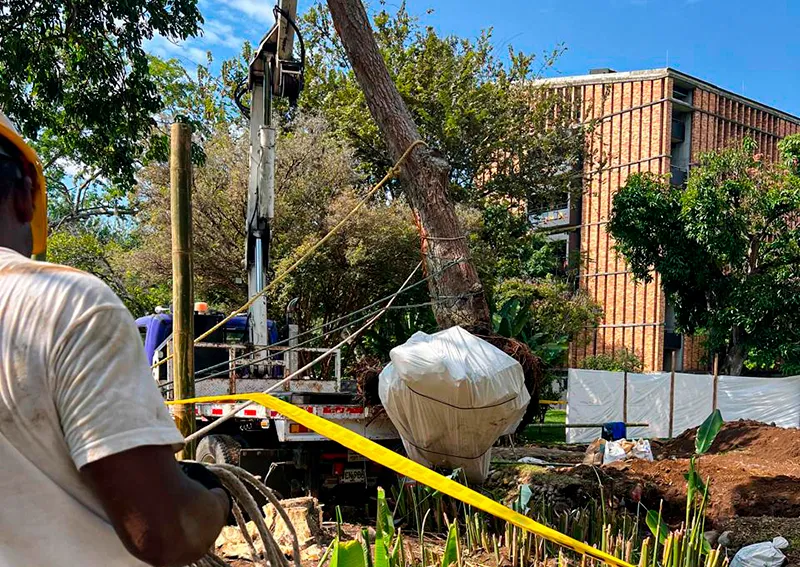 Lote de bancas de concreto embaladas en estibas de madera, listas para ser despachadas desde nuestra fábrica a Cali, Buga, Tuluá y Palmira