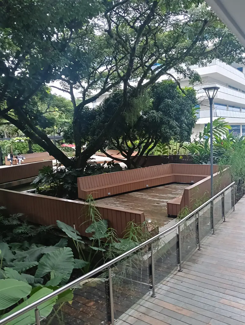 Grúa de Vivero Harmony realizando el izaje y trasplante de un árbol adulto en un proyecto de ingeniería ambiental en la Universidad Javeriana en Cali, Colombia.