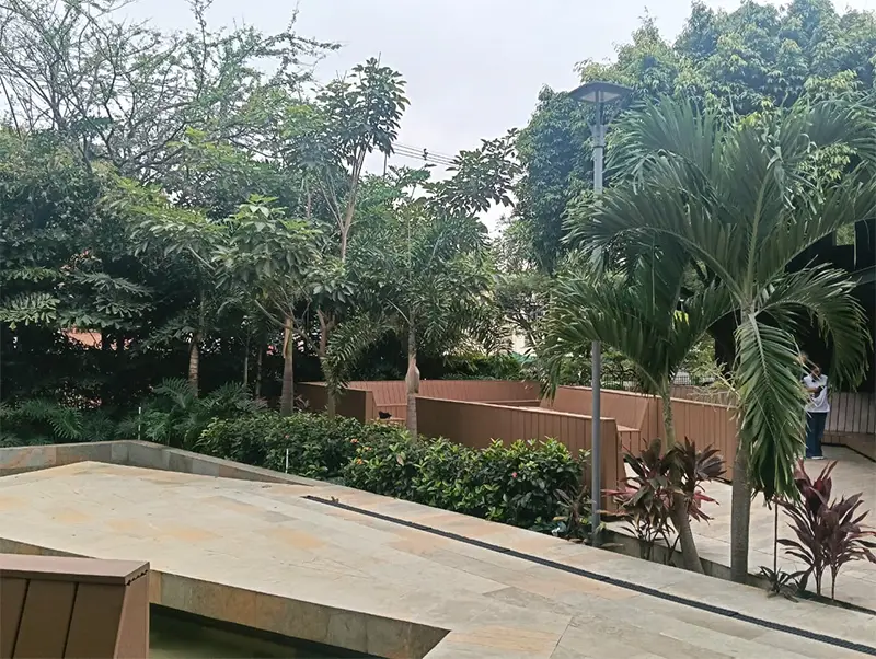 Grúa de Vivero Harmony realizando el izaje y trasplante de un árbol adulto en un proyecto de ingeniería ambiental en la Universidad Javeriana en Cali, Colombia.