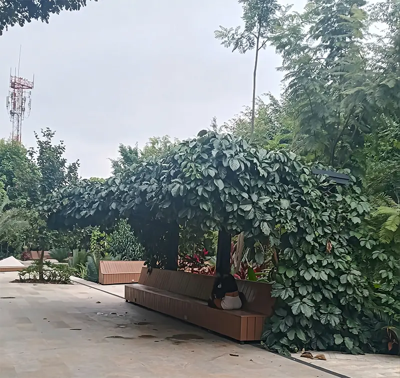 Grúa de Vivero Harmony realizando el izaje y trasplante de un árbol adulto en un proyecto de ingeniería ambiental en la Universidad Javeriana en Cali, Colombia.
