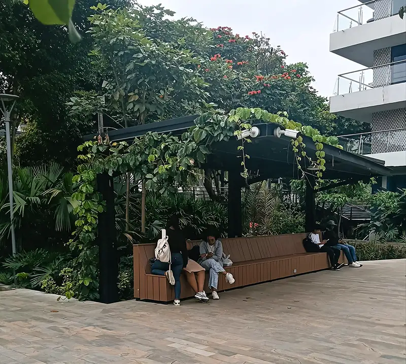 Grúa de Vivero Harmony realizando el izaje y trasplante de un árbol adulto en un proyecto de ingeniería ambiental en la Universidad Javeriana en Cali, Colombia.