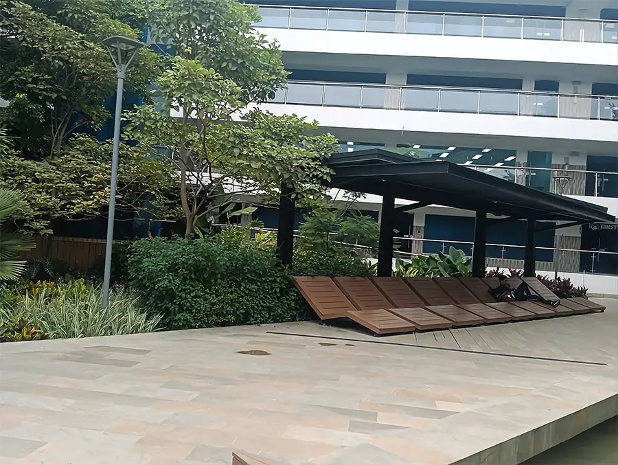 Nuestros Servicios de Plantación y Traslado Arbóreo en cali, palmira, tulua y buga, valle del cauca 