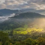¿Qué son las Áreas de Vida y el REAA? Guía territorial de la Ley 2173 3 Paisaje natural de un valle montañoso que representa un Área de Vida oficial inscrita en el REAA (Registro Único de Ecosistemas y Áreas Ambientales). Este ecosistema estratégico es gestionado por Vivero Harmony para que las empresas medianas y grandes de Bogotá puedan ejecutar su plan de siembra de árboles nativos y cumplir con la Ley 2173 sin necesidad de comprar terrenos propios