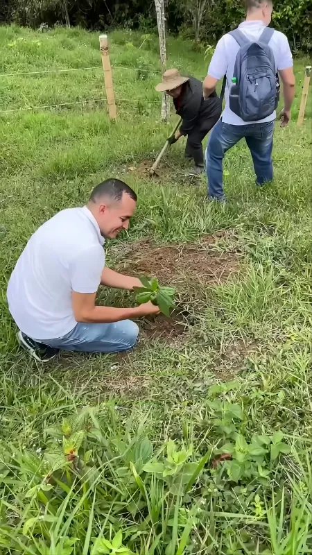 Primer plano de un joven voluntario sembrando un árbol nativo en una zona de restauración ecológica cerca de Cali, Valle del Cauca. Esta actividad demuestra el compromiso comunitario con la conservación ambiental y el cumplimiento de la Ley 2173, enfocada en la creación de entornos sostenibles y la protección de la biodiversidad regional