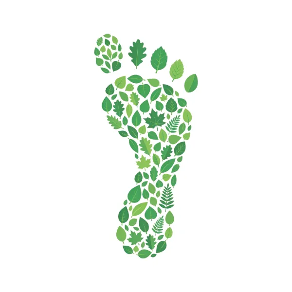 Ilustración de una huella humana formada por hojas verdes de diferentes formas, representando la reducción de la huella de carbono y el impacto ecológico positivo de las pymes en Cali, valle del cauca.
