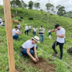 Valle del Cauca, pionero nacional en el cumplimiento de la Ley 2173 de Áreas de Vida 4 Equipo profesional ejecutando un proyecto de restauración ecológica y siembra de árboles nativos en zonas rurales cercanas a Cali, Dapa, dando cumplimiento a la normativa ambiental Ley 2173. Esta actividad de impacto ambiental muestra a colaboradores utilizando herramientas de siembra y cuidando especies forestales, consolidando las iniciativas de sostenibilidad empresarial en el Valle del Cauca. compañías pioneras como Gases de Occidente, Bec Altman, Netafín y Sumikim
