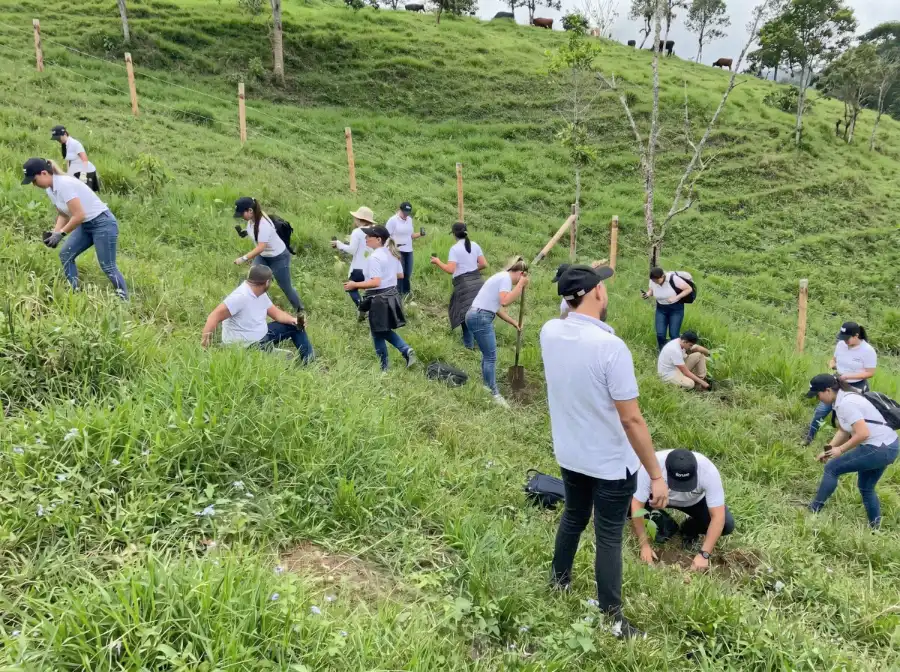 Primer plano de un joven voluntario sembrando un árbol nativo en una zona de restauración ecológica cerca de Cali, Valle del Cauca. Esta actividad demuestra el compromiso comunitario con la conservación ambiental y el cumplimiento de la Ley 2173, enfocada en la creación de entornos sostenibles y la protección de la biodiversidad regional